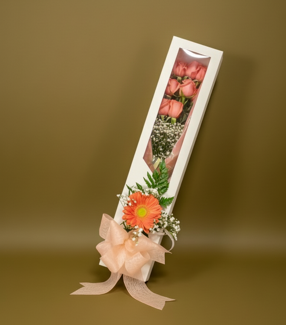 CAJA LEGANCIA SUTIL-CRRUSEL